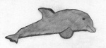 dolphin675.thumb.jpg