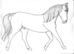 horse90423.thumb.jpg