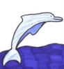 dolphin01.thumb.jpg