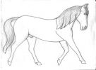 horse90423.jpg