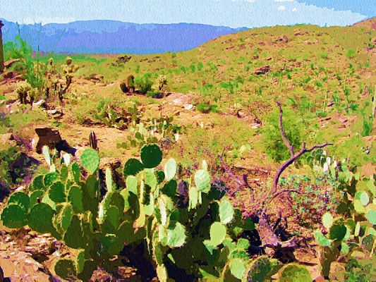 Hugh Norris Trail, Tucson, Arizona
Hugh Norris Trail, Tucson, Arizona
Keywords: Sonoran Desert Arizona