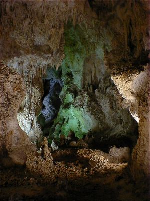 Carlsbad Caverns
Carlsbad Caverns
Keywords: Carlsbad Caverns
