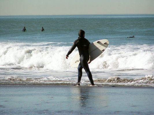 surf11.jpg