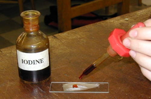 Using iodine in preparation of cell sample
Using iodine in preparation of cell sample
Keywords: Using iodine  preparation  cell sample